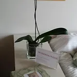 بيت للعطل Luisa