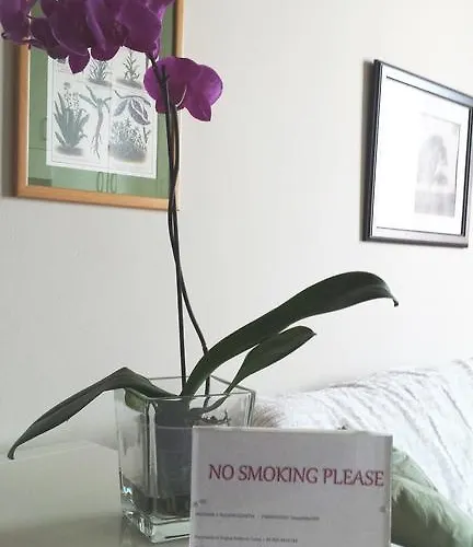 路易莎度假屋 帕爾馬